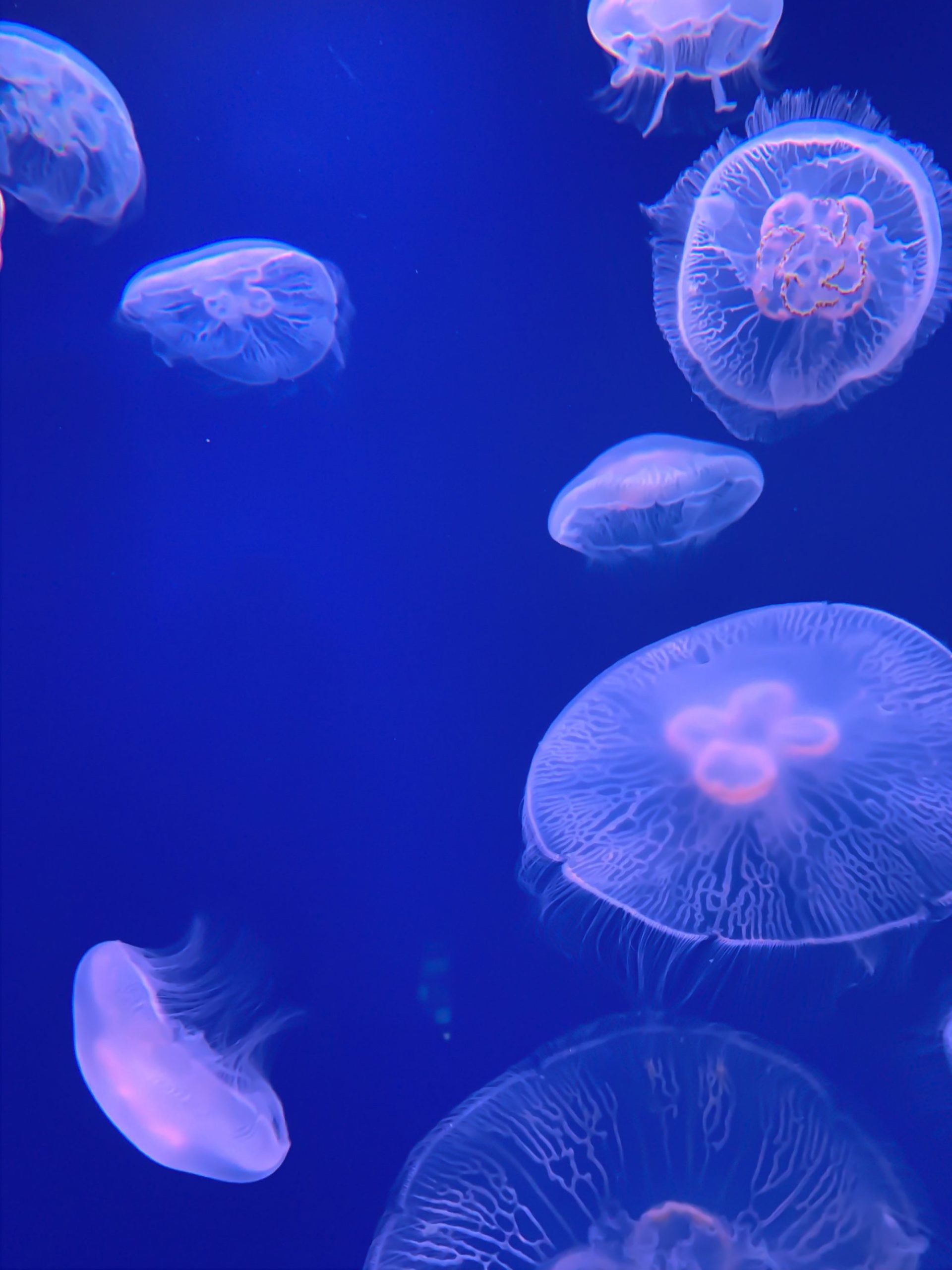 System Design Factory